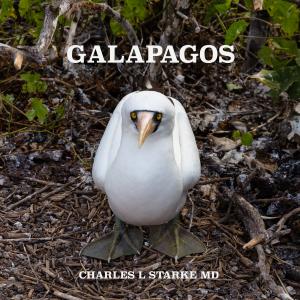 GALAPAGOS  Wonders of a Prehistoric World