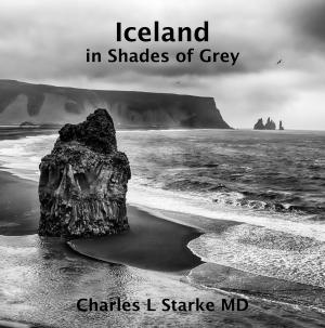 ICELAND: in Shades of Grey