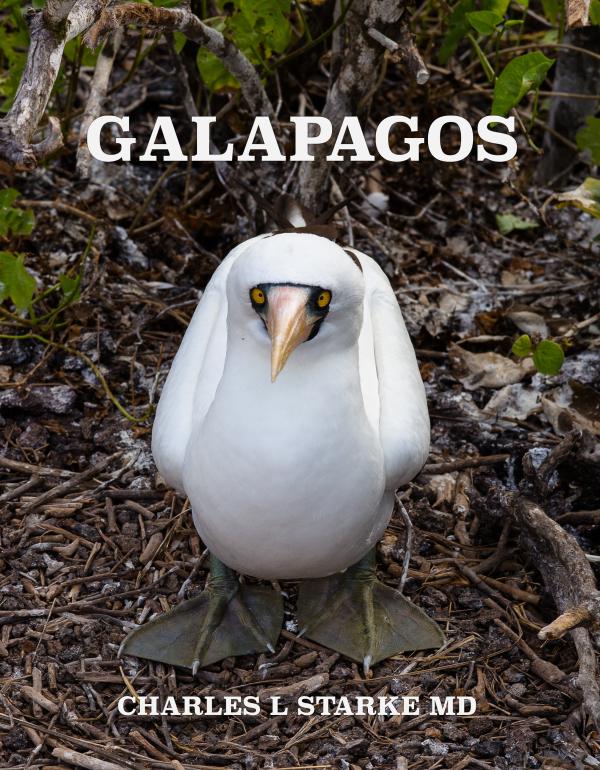 GALAPAGOS  Wonders of a Prehistoric World