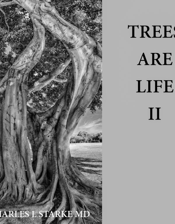 	 TREES ARE LIFE II