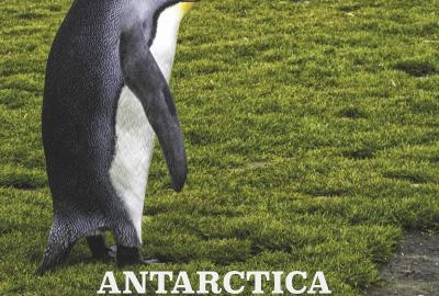 ANTARCTICA:  Wonders of an Icy World