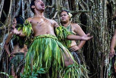 Tahiti and the Marquesas: including the Austral, Gambier, Tuomoto Islands and Pitcairn