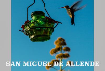 SAN MIGUEL DE ALLENDE